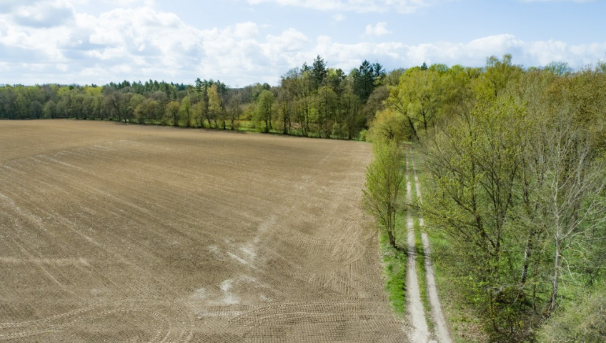 Działka Sprzedaż Wolin